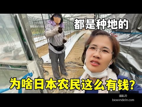 哈蘭德確信,轉會皇馬,盼歐冠賽場,九游会官网,九游会J9,九游会互动,九游会娱乐,九游会备用